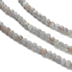 Natural Angelite Beads Strands&nbsp;G-RM2025-16-2mm