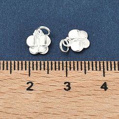 925 Sterling Silver Charms&nbsp;STER-A050-03C-S