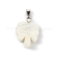 Natural Trochid Shell/Trochus Shell Pendants&nbsp;SSHEL-M021-10
