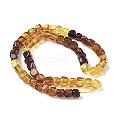 Natural Amber Beads Strands&nbsp;G-L095-E01-02