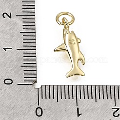 Brass Pendants&nbsp;KK-CBA79EB-05C-G