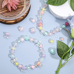 24 Style Transparent Acrylic Beads&nbsp;TACR-CA0001-23
