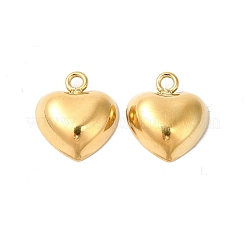 Ion Plating(IP) 304 Stainless Steel Pendants&nbsp;STAS-L268-043G