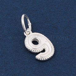 Number Series 925 Sterling Silver Charms&nbsp;LS-STER-Q002-01J