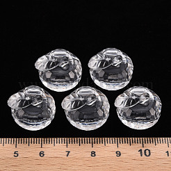 Transparent Acrylic Pendants&nbsp;TACR-T024-05B-205