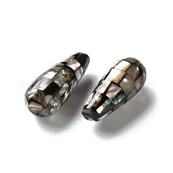 Natural Paua Shell Beads&nbsp;SSHEL-B002-10B-02