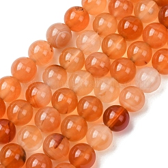 Natural Carnelian Beads Strands&nbsp;G-N0006-8mm-17