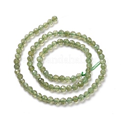 Natural Green Apatite Beads Strands&nbsp;G-C009-A22