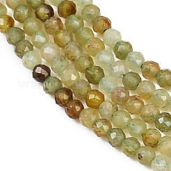 Natural Green Garnet Beads Strands&nbsp;G-B181-A01-2mm
