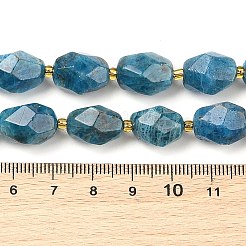 Natural Apatite Beads Strands&nbsp;G-P541-A01-06