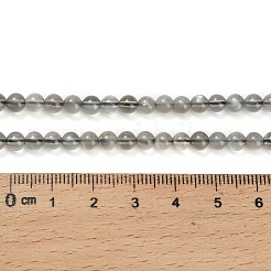 Natural Black Moonstone Beads Strands&nbsp;G-L631-A05-4mm