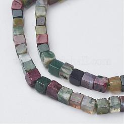 Natural Indian Agate Beads Strands&nbsp;G-G968-H08