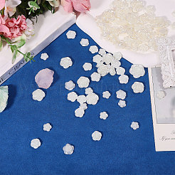 256Pcs 5 Styles Opaque Resin Beads&nbsp;RESI-CA0001-83