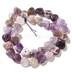 Natural Amethyst Beads Strands&nbsp;G-R190-10mm-50