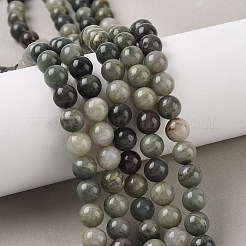 Natural Green Line Jasper Beads Strands&nbsp;G-G735-55-8mm