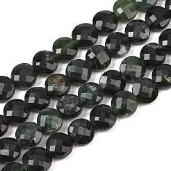 Natural Green Diopside Beads Strands&nbsp;G-NH0074-A01-01