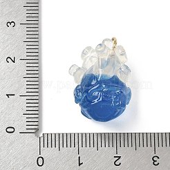Transparent Resin Pendants&nbsp;CRES-D306-10G-B