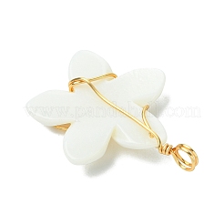 Natural Carved Freshwater Shell Pendants&nbsp;PALLOY-JF03391