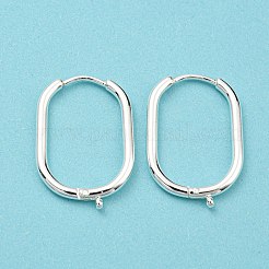 316 Surgical Stainless Steel Hoop Earrings Findings&nbsp;STAS-N097-055S