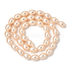 Electroplated Shell Pearl Beads Strands&nbsp;BSHE-B008-07C