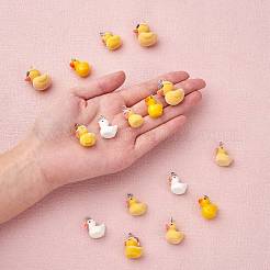 20Pcs 5 Styles Flocky Opaque Resin Pendants&nbsp;RESI-SZ0001-77