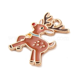 Alloy Enamel Pendants&nbsp;ENAM-B030-02G-11