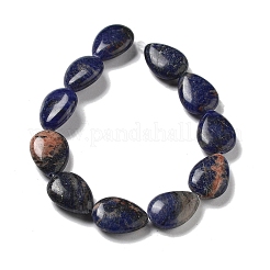 Natural Sodalite Beads Strands&nbsp;G-P528-L02-01