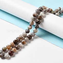 Natural Mexican Lace Agate Beads Strands&nbsp;G-E578-02A