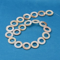 Natural White Shell Beads Strands&nbsp;LS-PBB-XXBK014Y-13