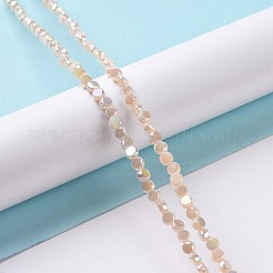 Electroplate Glass Beads Strands&nbsp;GLAA-E036-04C