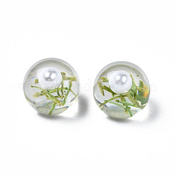 Translucent Acrylic Cabochons&nbsp;TACR-N006-14B