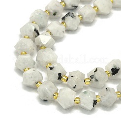Natural Rainbow Moonstone Beads Strands&nbsp;G-I376-A34-01