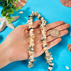 1 Strand Natural Seashell Shell Beads Strands&nbsp;SSHEL-TA0001-12