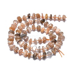Natural Multi-Moonstone Beads Strands&nbsp;G-F715-068