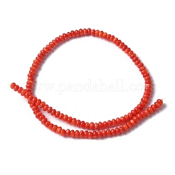 Natural Freshwater Shell Beads Strands&nbsp;SSHEL-C013-08A