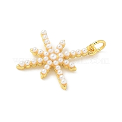 Brass Charms&nbsp;KK-I276-72G