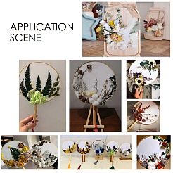 Dried Flower&nbsp;DIY-B018-04