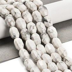 Natural Howlite Beads Strands&nbsp;G-F781-A03-01