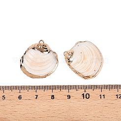 Natural Sea Shell Pendants&nbsp;SSHEL-N038-20