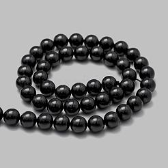 Shell Pearl Bead Strands&nbsp;BSHE-L026-07-8mm