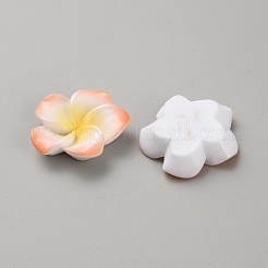 Two Tone Resin Cabochons&nbsp;LS-RESI-WH20010-01D