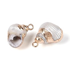 Electroplated Natural Shell Pendants&nbsp;BSHE-T015-12