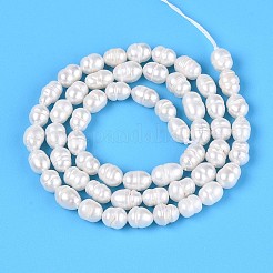 Natural Cultured Freshwater Pearl Beads Strands&nbsp;PEAR-T006-19A