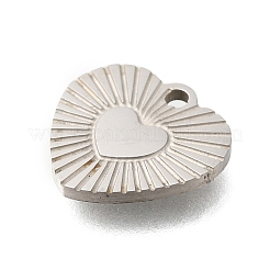 Anti-Tarnish 201 Stainless Steel Charms&nbsp;STAS-C111-36P