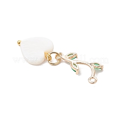 6Pcs 6 Styles Natural Freshwater Shell Pendants&nbsp;PALLOY-JF04148-01