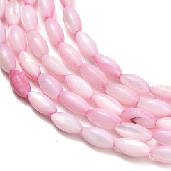 Natural Freshwater Shell Beads Strands&nbsp;SHEL-C010-01E
