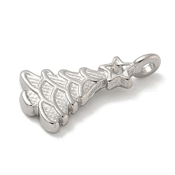 Anti-Tarnish 304 Stainless Steel Pendants&nbsp;STAS-Q334-28P