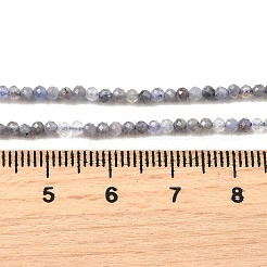 Natural Tanzanite Beads Strands&nbsp;G-S387-A01-2mm