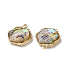 Natural Paua Shell Resin Hexagon Charms&nbsp;KK-F865-22G
