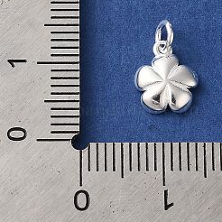 925 Sterling Silver Charms&nbsp;STER-M120-01D-S